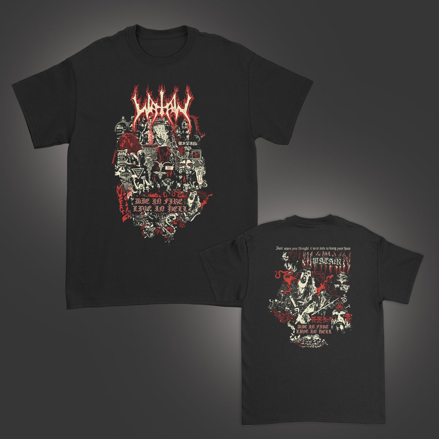 Die In Fire Live In Hell T-Shirt (Black)